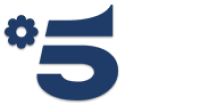 Canale 5