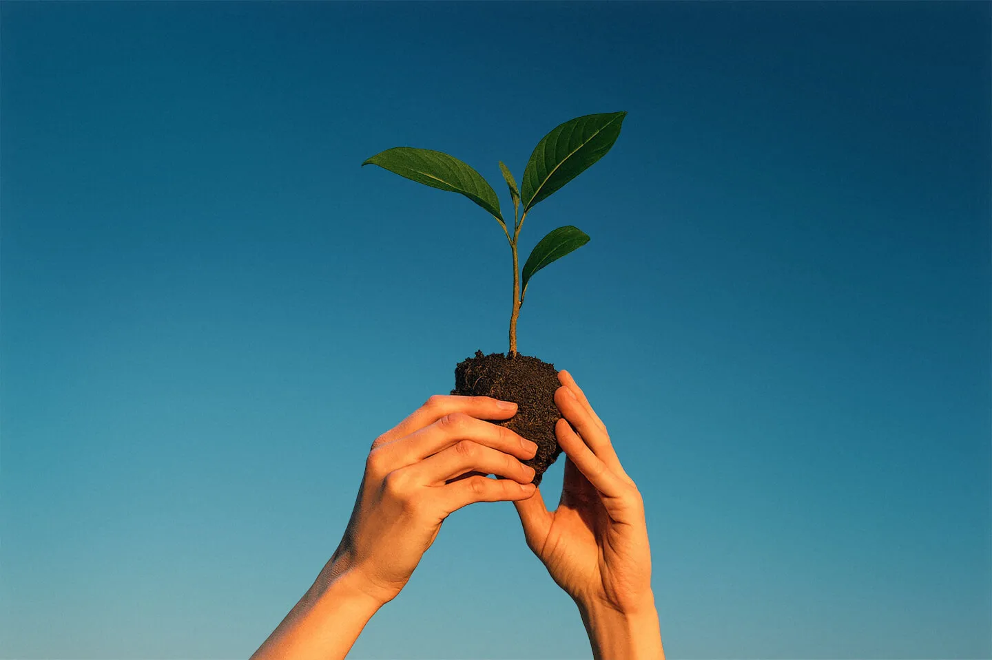 Refurbished smartphone 